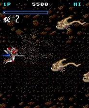 五一吃瓜群众网页版